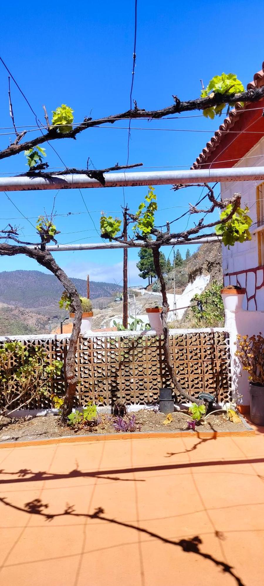 Casa Cueva Rural Trebola, Artenara Juncalillo ภายนอก รูปภาพ
